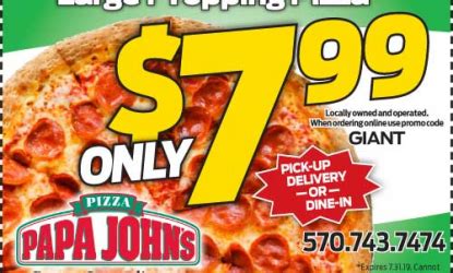 Take the lead in delivering high-quality products and customer service. . Papa johns selinsgrove